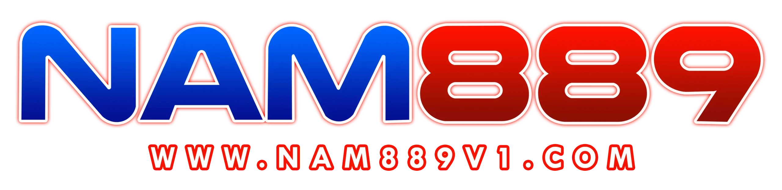 nam889v1
